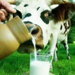 Чем же так полезно молоко?