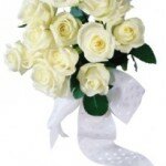Белые розы — это символ вечной любви!
